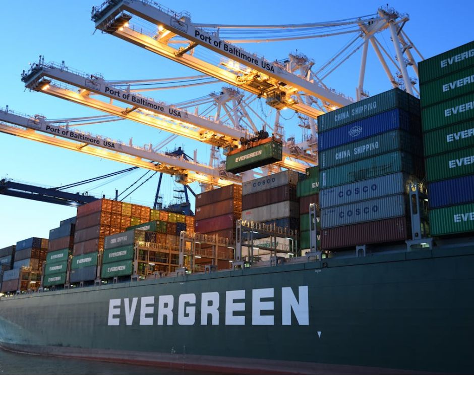 Supply & Distribution